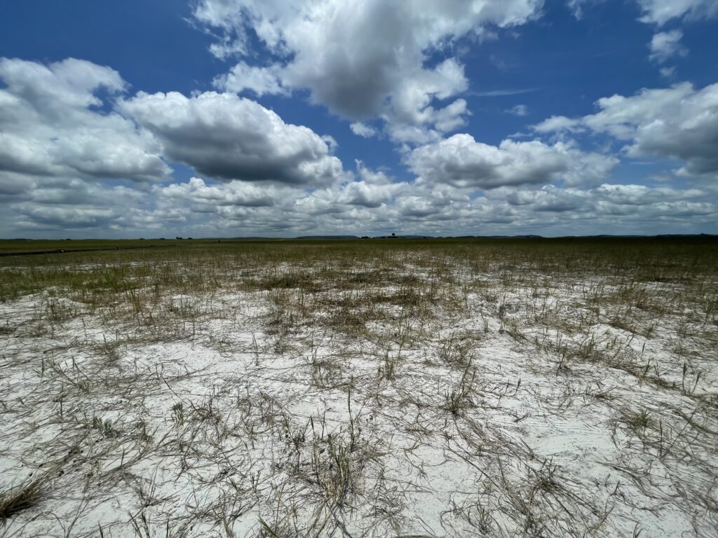 #EarthDay2026: Environmental, closure risk are key aspects of mining due diligence.